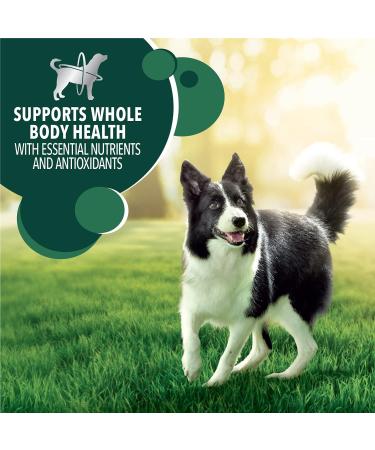 IAMS Advanced Health Dog Food Dry Healthy Digestion Adult Chicken & Whole Grain Recipe 12.2kg (27LB) Bag 12.2 kg (Pack of 1) Dog Food - Buy Online on SooperMarket.com