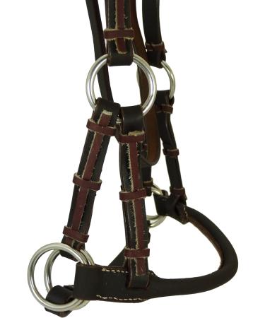 Thor Equine Dark Brown Sidepull with Round Noseband - Premium Cob Size for International Shipping - Buy Online on SooperMarket.com