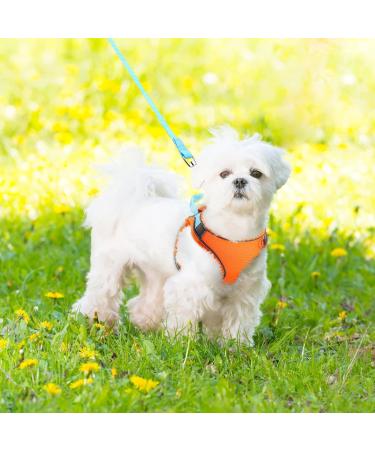 Escape-Proof Cat Harness and Leash Set - Reflective Vest for Small Cats | XXS Orange - Buy Online on SooperMarket.com