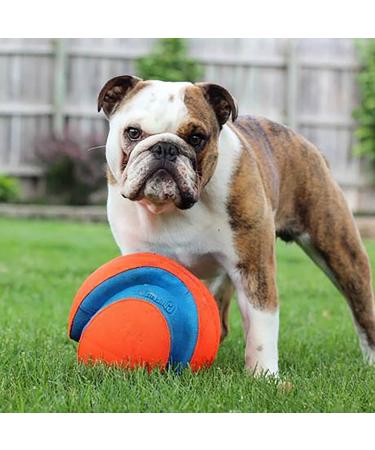 Chuckit! Large Regular Glow Ball - Bright and Durable Fetch Toy - Buy Online on SooperMarket.com