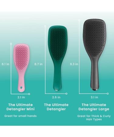 Tangle Teezer The World Detangler Hairbrush - Ideal for Wet & Dry Hair | All Hair Types | Reduces Nodes & Breakage | Green Jungle - Buy Online on SooperMarket.com