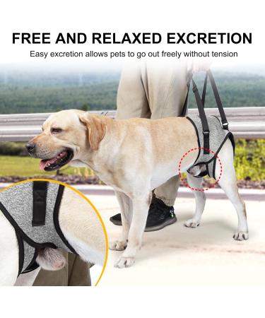 Hamon Portable Dog Harness for Hind Legs | Dog Lifting Aid for Older & Sick Dogs (Large) - Buy Online on SooperMarket.com