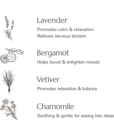 Plant Therapy Blissful Dreams Lavender Pillow & Linen Spray 8 oz - All-Natural Aromatherapy with Essential Oils - Buy Online on SooperMarket.com