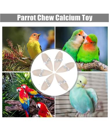 6 Pieces Bird Cuttlebone Toys Parrot Chew Calcium Toy Chewing Cuttlefish Bone with Metal Holder Bird Pet Molar Toy for Parrots Cage Birds Reptiles Tortoises Snails - Buy Online on SooperMarket.com