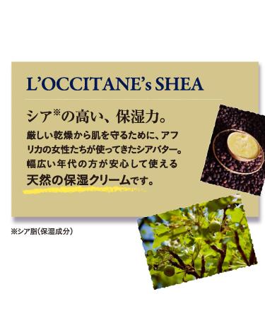 L'Occitane Ultra-Rich 10% Shea Butter Nourishing Lip Balm | Hydrating Lip Care | 0.39 fl oz | International Shipping - Buy Online on SooperMarket.com