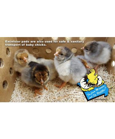 Cackle Hatchery Laying Hen Nest Box Pads - 13x13 (6 Pack) | Premium Quality - Buy Online on SooperMarket.com