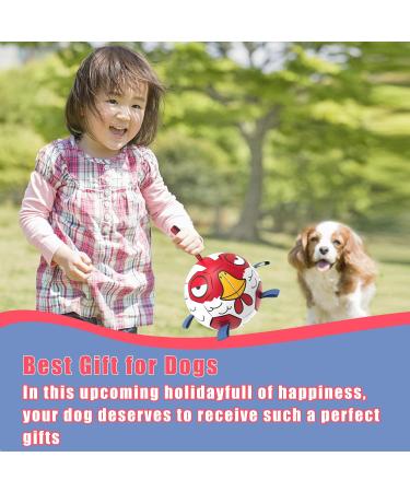 Hetoo Interactive Dog Toys | Durable Football with Gripping Bottles | Perfect for Small & Medium Breeds | Water Toys for Indoor & Outdoor Play - Large Size 3 Angry-Chick - Buy Online on SooperMarket.com