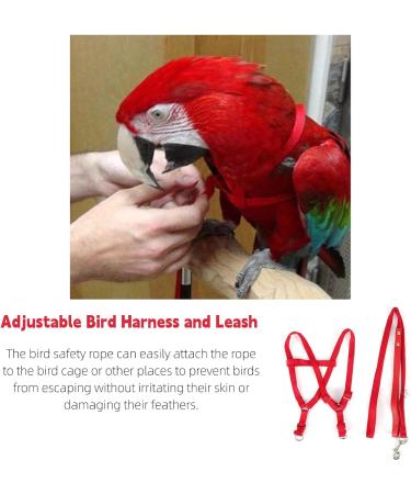 Felenny Bird Dishes & Leash - Adjustable Outdoor Accessories for Scarlet Macaw Sun Conure and Nymphensittich - Anti-Bite Protection (Large Red) - Buy Online on SooperMarket.com