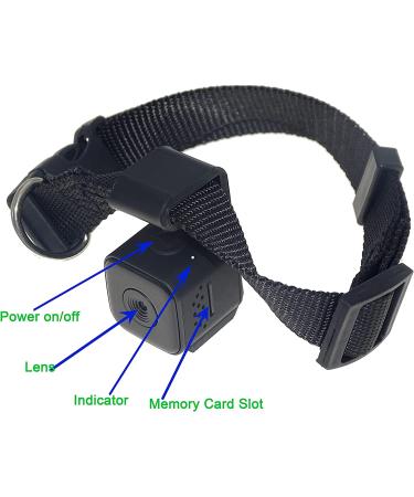 Pet Collar Cam DVR: Video Recorder & Monitor for Dogs, Cats, and Puppies - Buy Online on SooperMarket.com