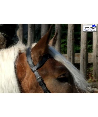 Buy Tysons Breeches Cavesson Leather - Extra Large Coldblood X-Full XX Full with Bit Attachment | Premium Quality Horse Tack - Buy Online on SooperMarket.com