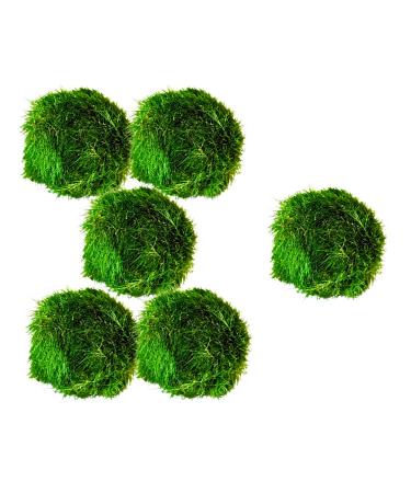 Marimo Moss Balls Aquarium Aquatic Plant Easy Betta Shrimp Java (5 +1 Free) 5 (+1 Free)