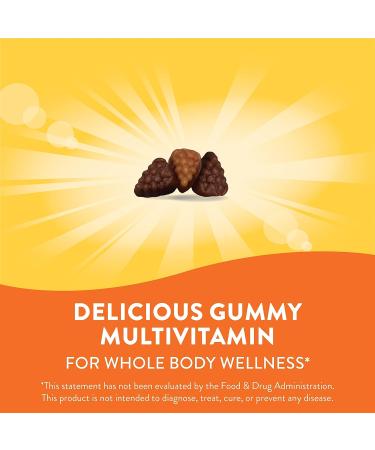 Nature's Way Alive! Premium Adult Gummy Multivitamins - Essential Vitamins & Minerals - Vegetarian - Grape & Cherry Flavored - 90 Gummies - Buy Online on SooperMarket.com