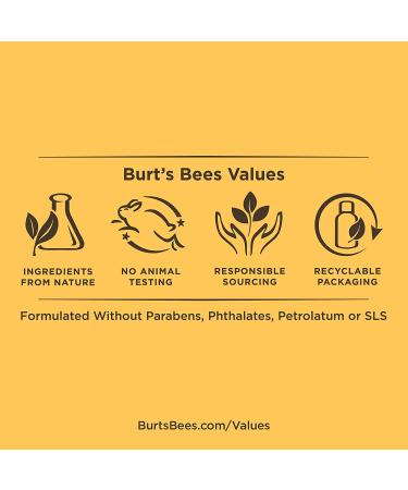 Burt's Bees Conditioning Beard Balm for Men - 3 Oz (Amber) | Aloe & Hemp Infused | 1 Count - Buy Online on SooperMarket.com