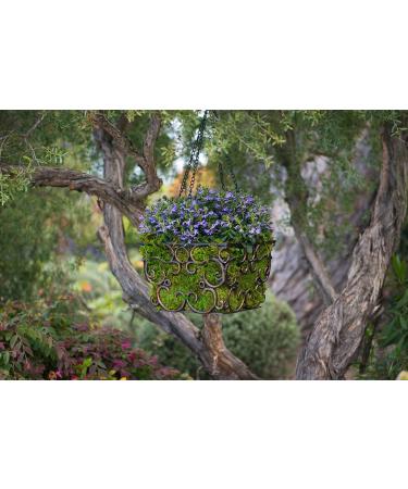 SuperMoss 21509 Sheet Moss 2oz Bag - Preserved Fresh Green Moss for Crafts and Decor - Buy Online on SooperMarket.com