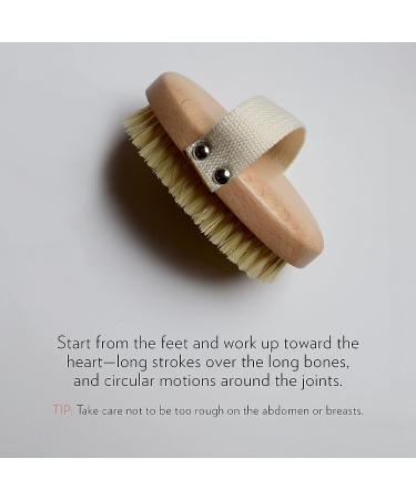 Rosebud Woman Perfect Skin Brush - Vegan, Sustainable Dry Brushing for Improved Circulation and Exfoliation (1Ct) - Buy Online on SooperMarket.com