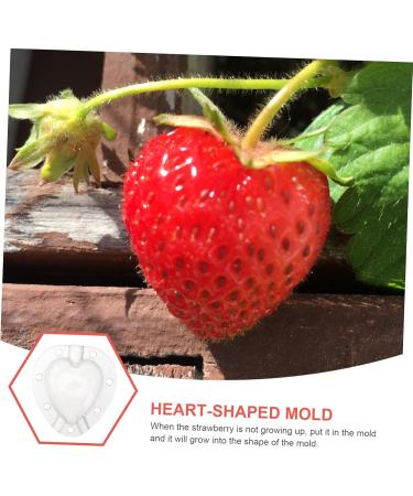 POPETPOP 10 Pcs Fruit Shaping Fruit Plastic Fruit Watermelon White Gardening Supplies 4.5x4cmx2pcs Whitex2pcs - Buy Online on SooperMarket.com