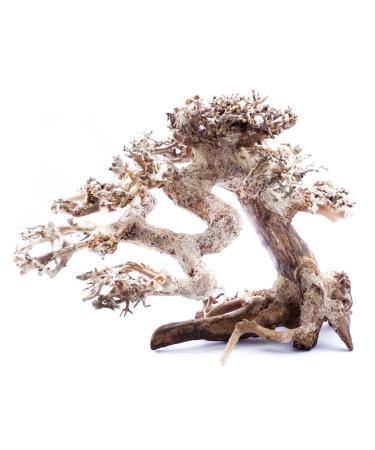 Superfish Natural Wood Bonsai Driftwood Small 23x12x15
