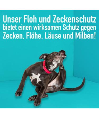 Greenhero Flea & Tick Protection Spray 500ml - Effective Remedy for Dogs & Cats | Fast Acting Flea & Tick Solution - Buy Online on SooperMarket.com