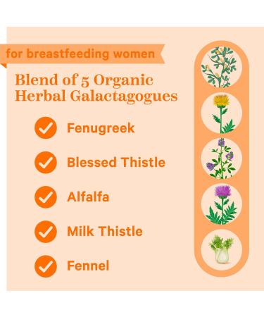 Pink Stork Total Lactation: Breast Feeding Essentials Lactation Supplements for Increased Breast Milk Women-Owned 60 Capsules - Buy Online on SooperMarket.com