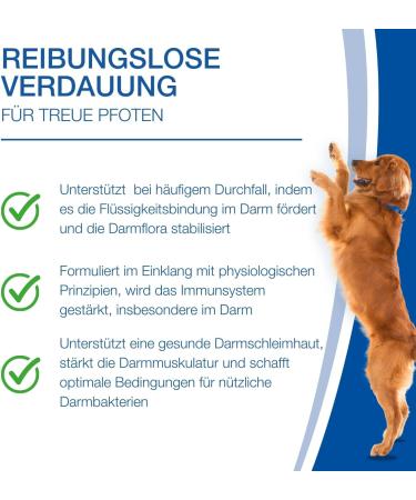Nutrilabs Colofor Powder for Dogs 400g - Nutritional Supplement for Dog Diarrhea with Bentonite L-Glutamine & Prebiotics - Former Estifor Powder - Buy Online on SooperMarket.com