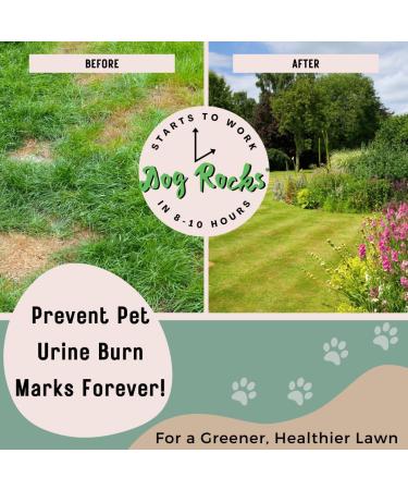 Dog Rocks - Urine Patch Preventer (200g) / Natural Dog Urine Neutraliser for Water Bowls Grass Repair Urine Burn Patch Repair 200 g (Pack of 1) - Buy Online on SooperMarket.com