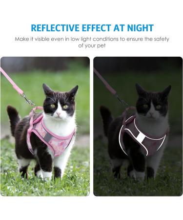 BriFit Cat Dishes with 150cm Leash - High Quality Breakfast Set for Cats & Small Dogs (Pink XS) - Perfect for Pets 6.61-1lb - Buy Online on SooperMarket.com
