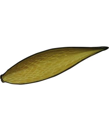 Lucky Reptile DB-01 Nature's Treasure Decor Box - Buy Online on SooperMarket.com