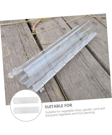 Kisangel 2pcs Fruit Shaping Mold Vegetables Clear Fruit Garden Tool Growth Molds Accessories Stereotypes Transparent Color 21x4cm - Buy Online on SooperMarket.com