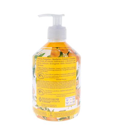 L'Erbolario Hand and Body Cleanser - Citrus Fresh Foam Silicone & Paraben Free - Soft & Clean Skin for All Types - 16.9 oz - Daily Use Body Wash - Buy Online on SooperMarket.com