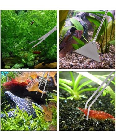 miuse Aquarium Scissor Tweezers Spatula Tool - 4 in 1 Stainless Steel Aquatic Plants Aquascaping Tools Set for Fish Starter Kits & Aquariums Tank - Buy Online on SooperMarket.com
