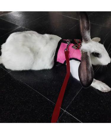 CHIPKART Small Pet Harness No Pulling Comfort Vest Guinea Pig Harness and Leash Set for Ferret Rats Bunny Hamster(L) - Buy Online on SooperMarket.com