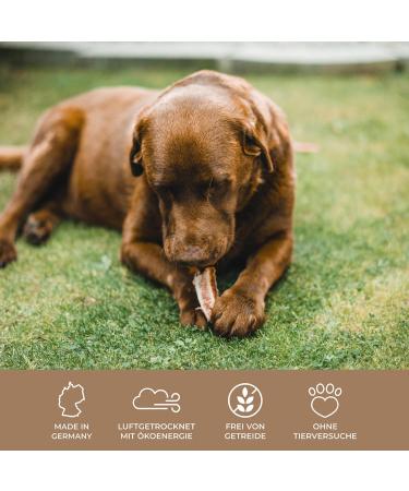 Premium Sprats 1000g - Odor-Neutral Dog Treats | 100% German Production | Pridedogs Kausnack - Buy Online on SooperMarket.com