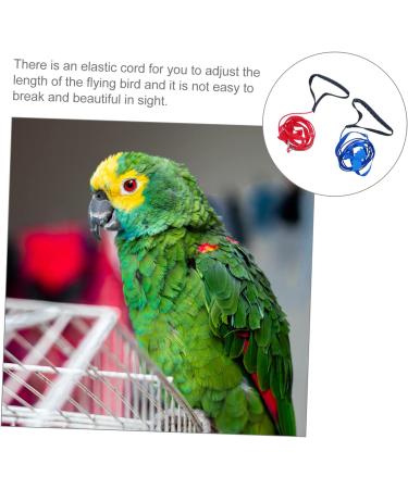 Hohopeti 2pcs Parrot Flying Rope African Grey Leash Pet Harness Flight Leashes Nylon Adjustable Bird Leash Pet Parrot Harness Bird Harness Leash Adjustable Bird Flying Harness S Assorted Color - Buy Online on SooperMarket.com