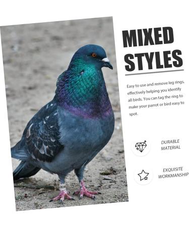 Balacoo 300 Pcs Homing Pigeon Identification Ring Tools Private Pigeons Marker Bird Distinguish Tool Birds 1.1x0.8cm x3pcs Colorfulx3pcs - Buy Online on SooperMarket.com