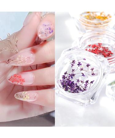 8 Boxes Dried Flowers for Nails | Nail Art Sticker Kit | DIY Nail Decoration Accessories - 8 Colors - Buy Online on SooperMarket.com