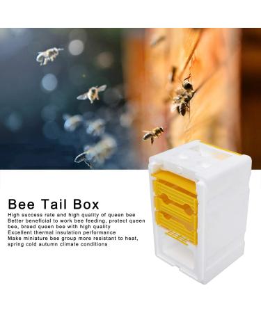 Plplaaoo Pollination Box | Professional Bee Queen Rearing & Breeding Equipment | International Shipping - Buy Online on SooperMarket.com