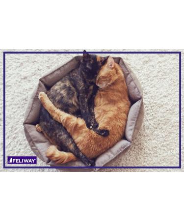 FELIWAY Friends Diffuser Refill 3-Pack (FELIWAY MultiCat) - Use with FELIWAY Cat Diffusers - Helps Reduce Fighting Tension and Conflicts Between Cats in The Home (90 Day Supply FELIWAY Refill D894) - Buy Online on SooperMarket.com