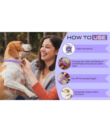 Dog Repellent Treatment Dog Repellent Collars Adjustable Small-Medium-Large Dog Repellent Collar Natural Repellent Collar for Dogs Waterproof Reflective Dog Repellent (Single Pack Purple) Single Pack Dog Purple - Buy Online on SooperMarket.com