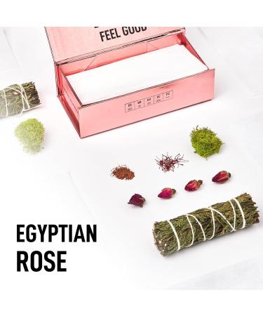 Buy Laundry Sauce Egyptian Rose Dryer Sheets – Eco-Friendly Fabric Softener for Fresh Laundry | Free International Shipping - Buy Online on SooperMarket.com