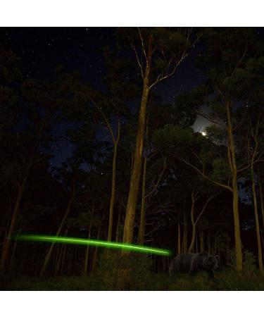 Reikawa 6PCS-S Lighted Nocks for Arrows | .244/6.2mm Inside Diameter Compound Bow Arrow Nock | Green Pack of 6 - Buy Online on SooperMarket.com