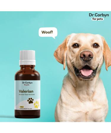 Dr Corbyn Pets Valerian Drops | Calming Supplement for Dogs, Cats & Pets | Supports Relaxation & Stress Relief (50ml) - Buy Online on SooperMarket.com