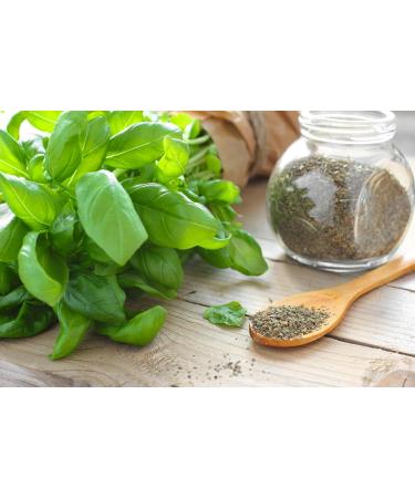 Nature Kitchen Basil 200g: Gluten-Free Vegan Seasoning Spices for Everyday Cooking - Marinades, Sauces, Frying, Baking, Grilling - Buy Online on SooperMarket.com