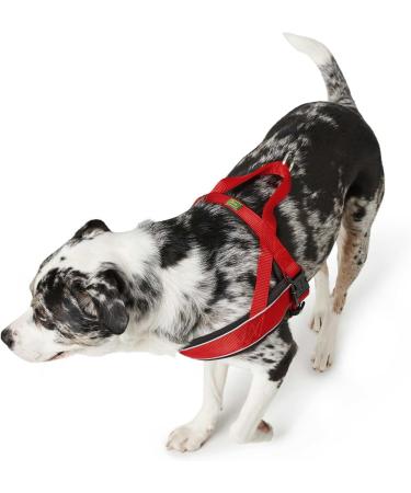 Buy HUNTER RACING Norwegian Harness | Size S (42-53 cm) | Red/Black | International Shipping Available - Buy Online on SooperMarket.com