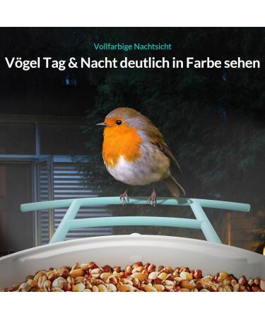 Netvue Bird Feed Donor & Camera - AI-Powered Bird Feeder with Species Detection | Bird House & Feed Stations for Wild Birds - Buy Online on SooperMarket.com