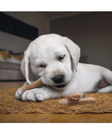 Nobleza 100% Natural Beef Chewing Bones for Small Dogs - 12 Pieces High Protein Dog Treats (7.6cm) - Buy Online on SooperMarket.com