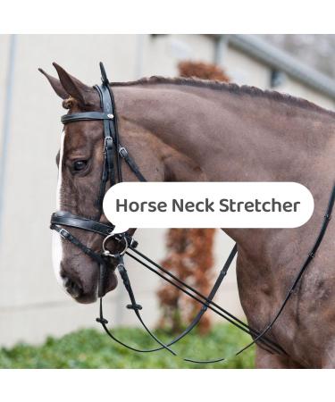 HEEPDD Horse Neck Stretcher 9.84ft Elastic Nylon Rope Horse Reins Training Rope Comfortable Training Aid - Buy Online on SooperMarket.com
