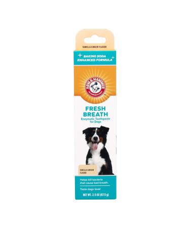 Arm & Hammer Advanced Care Enzymatic Toothpaste For Dogs Vanilla Ginger 2.5 oz (67.5 g)