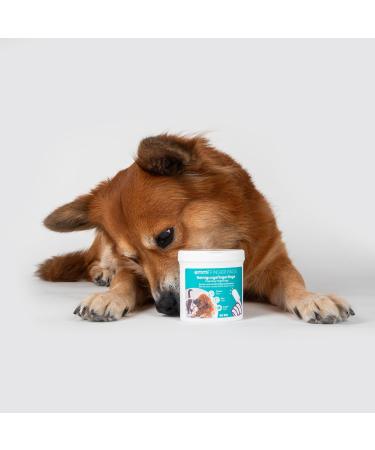 EMMI PET Finger Pads for Dogs & Cats - Disposable Cleaning Fingers & Towels for Ears Chin & Eyes | 50 Pieces for Ultimate Pet Care & Hygiene - Buy Online on SooperMarket.com