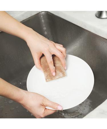Full Circle Walnut Scrubber Sponge 2 Pack - Eco-Friendly Cleaning, 4.4 x 2.75 - Buy Online on SooperMarket.com