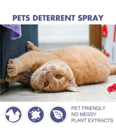 LDREAMAM Anti-Scratch Spray for Cats & Dogs - Effective Scratch Protection & Defense Spray - 1PC - Buy Online on SooperMarket.com